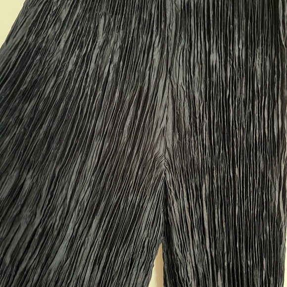 Pants (looks like skirt until you start walking) - Picture 4 of 8